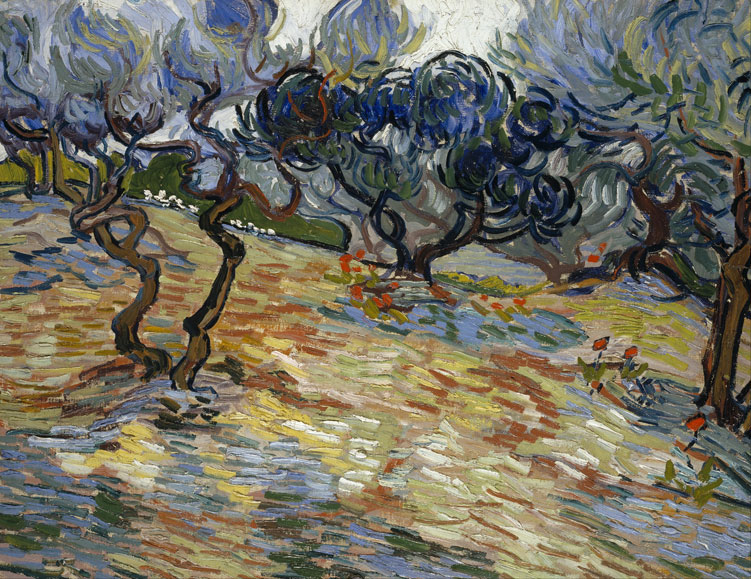梵高风景画作品 橄榄树