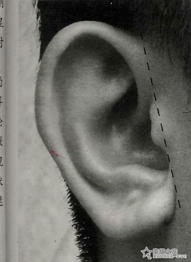 耳朵的画法