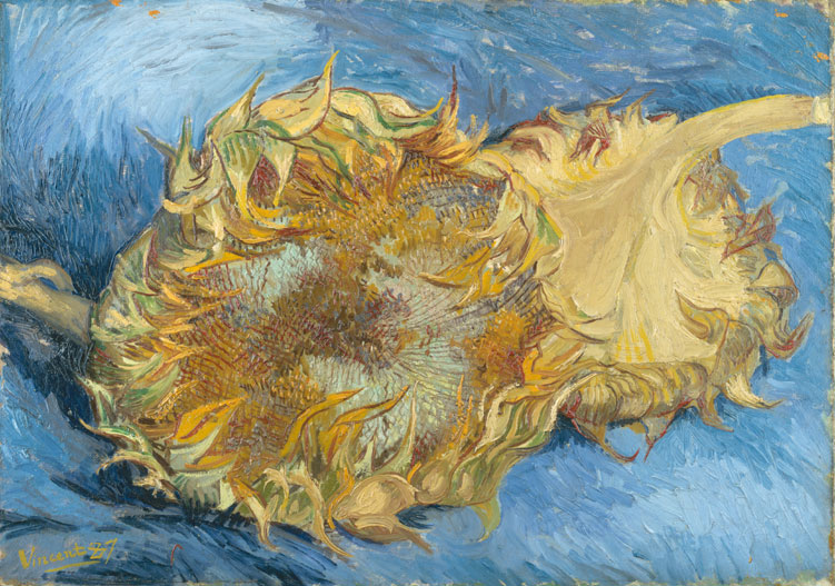 梵高静物油画高清大图：两朵向日葵