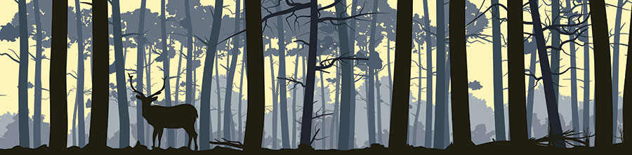 鹿森林,晨雾中的麋鹿,欧式动物画,高清麋鹿装饰画