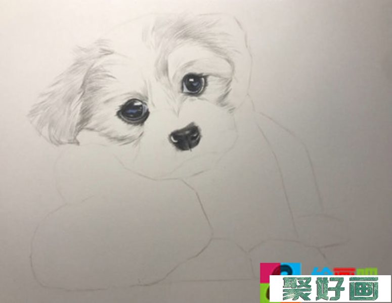 小狗的彩铅画图片教程
