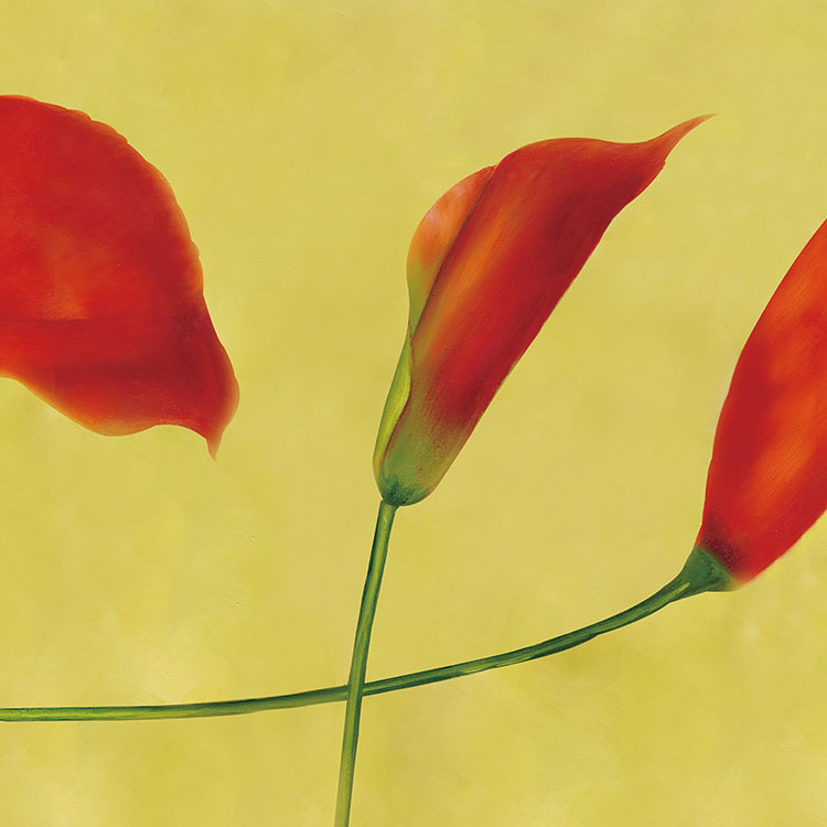 三联组合油画: 红色玫瑰花 B
