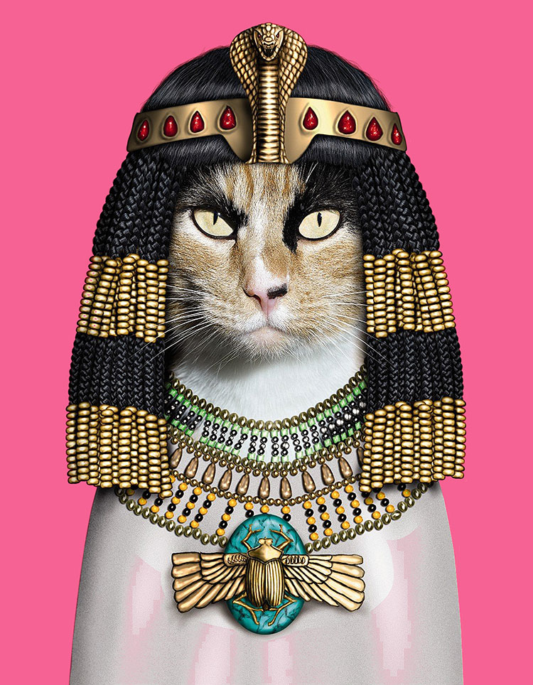 宠物明星脸高清素材下载: 埃及艳后猫装饰画