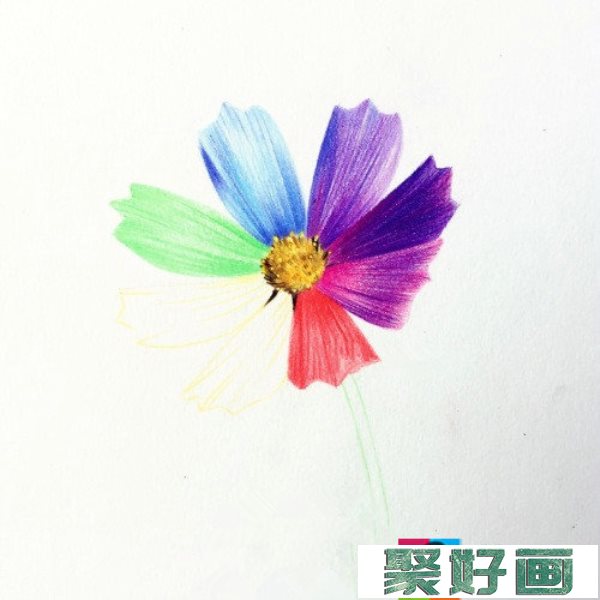 简单彩铅花朵教程图解：七色花的画法