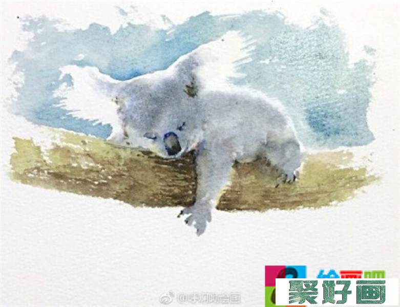 动物树袋熊水彩画教程