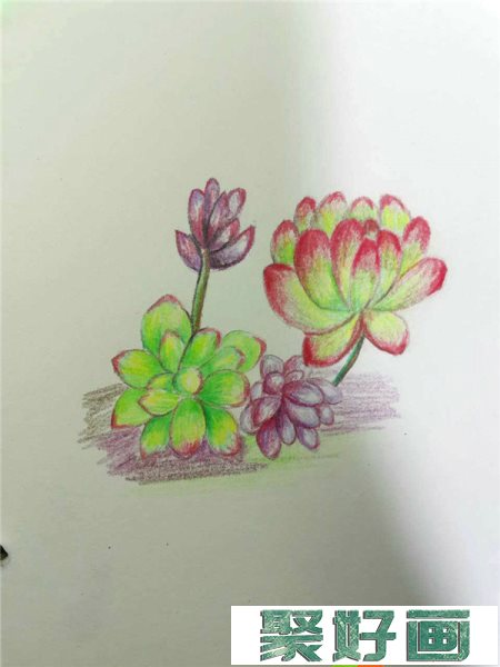 零基础学彩铅画