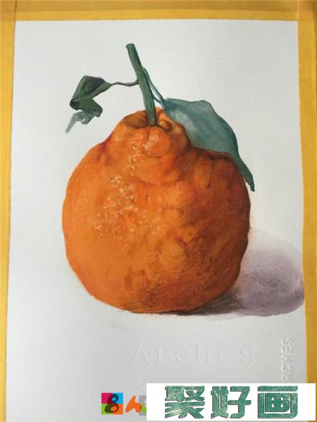 丑橘彩铅画