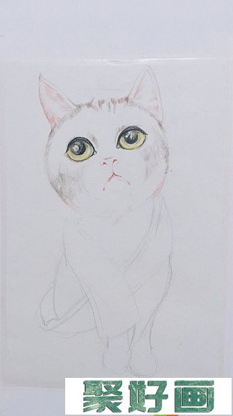 猫怎么画?手绘猫咪彩铅画教程