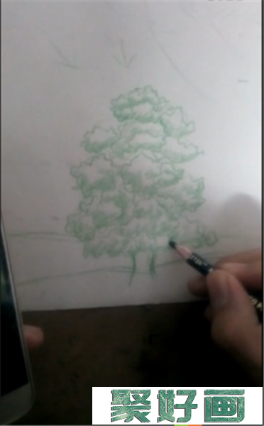 彩铅画大树