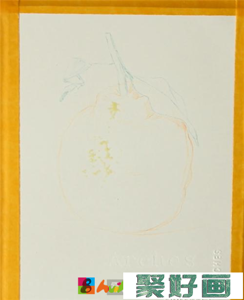 丑橘彩铅画