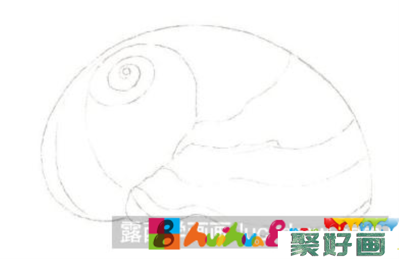 怎么画海螺