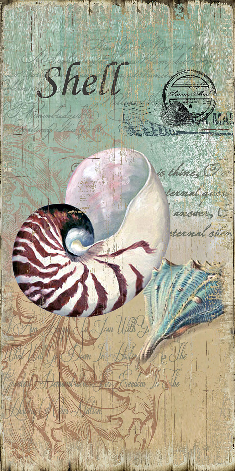 现代欧式海洋题材装饰画素材: 海螺和贝壳 B