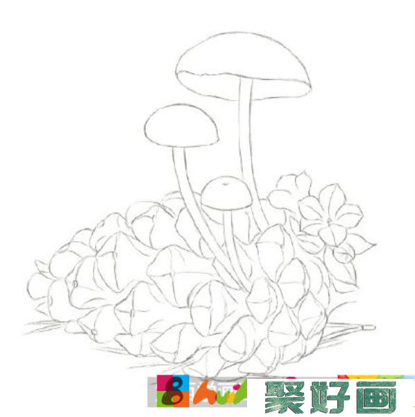 怎么画松果菌