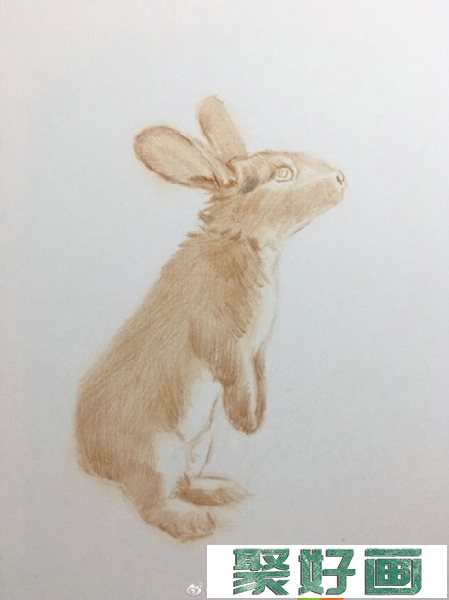 超简单的彩铅画兔子教程
