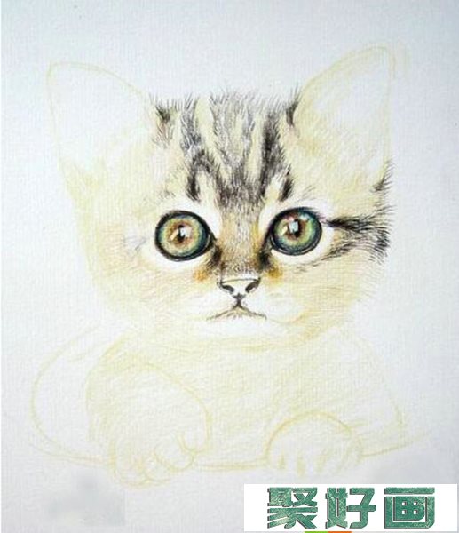 怎么画彩铅猫咪