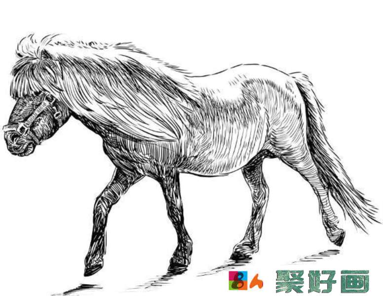 <a href=../zhonglei/sumiaohua/suxie/ target=_blank class=infotextkey>速写</a>画用铅笔与炭笔画出来有什么不同？