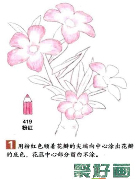 沙漠玫瑰彩铅画怎么画？彩铅画花卉绘画教程