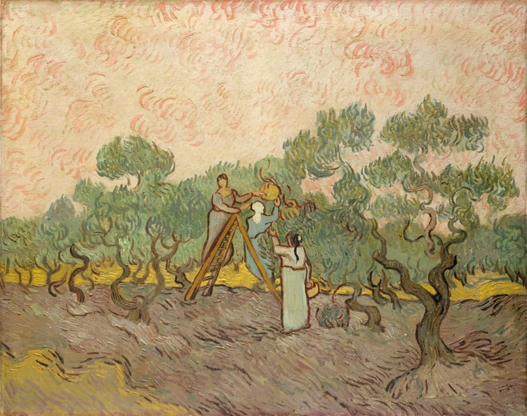 梵高印象风景画高清大图：妇女采摘橄榄
