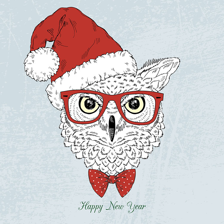 时尚呆萌动物 戴圣诞帽的猫头鹰  高清装饰画素材下载