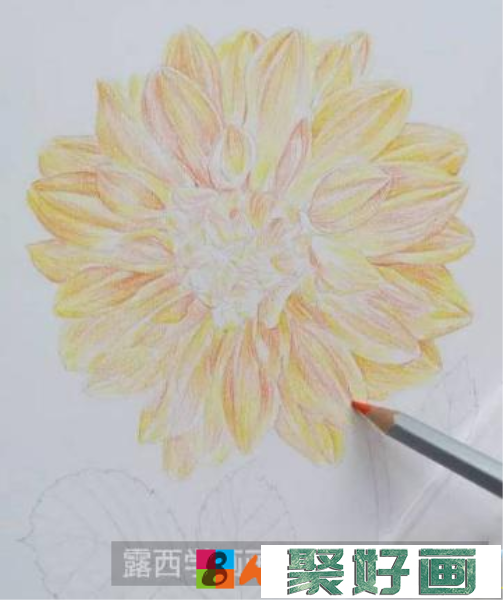 油性彩铅画花卉步骤