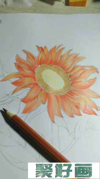彩铅向日葵怎么画？向日葵彩铅画教程