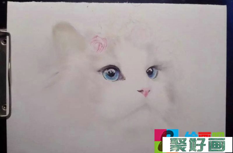彩铅画萌猫步骤：教你画一只仙女猫