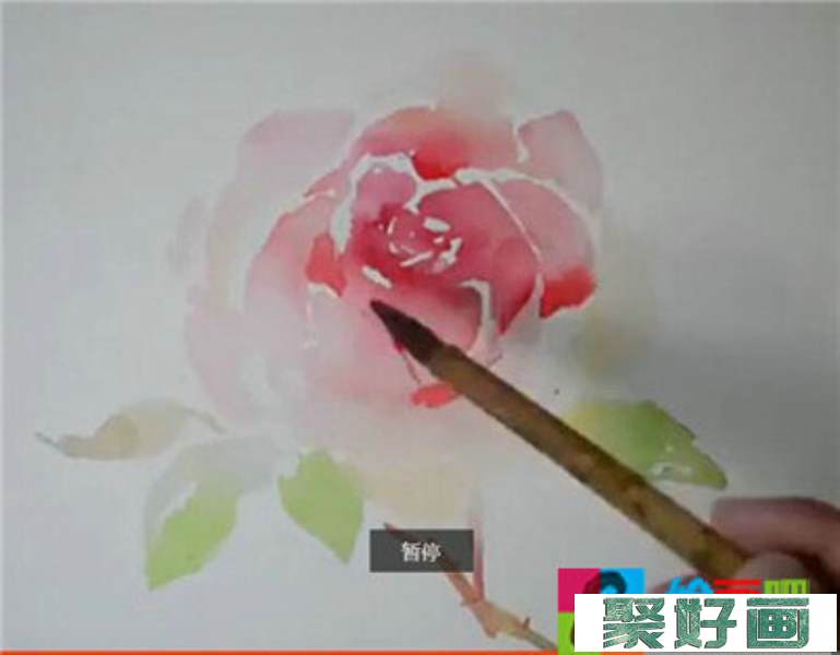 水彩画视频教程玫瑰花的具体画法步骤