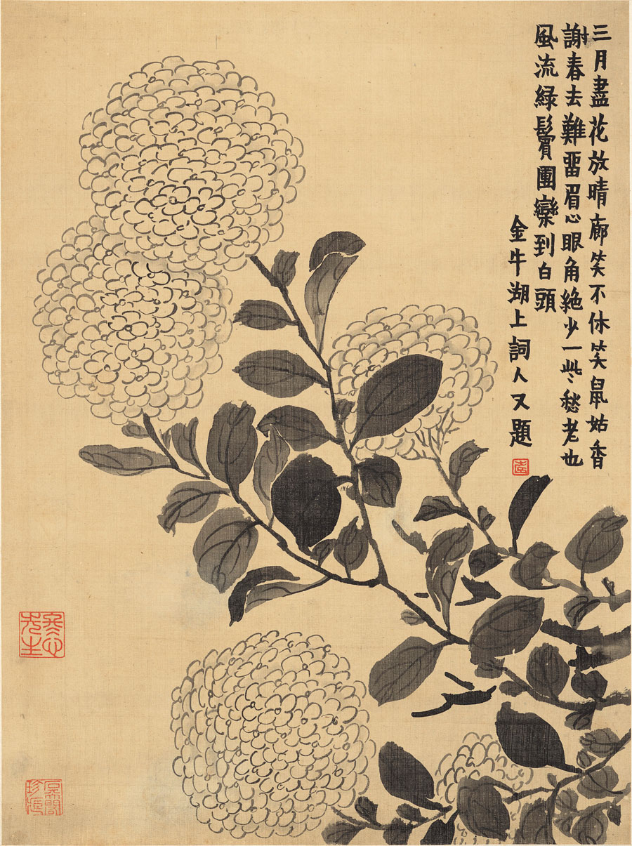 清 金农 八开花卉图册 绣球花国画