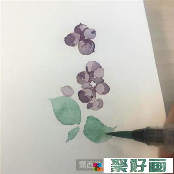 小蓝莓水彩画