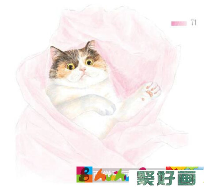 玩包装纸的猫咪彩铅画