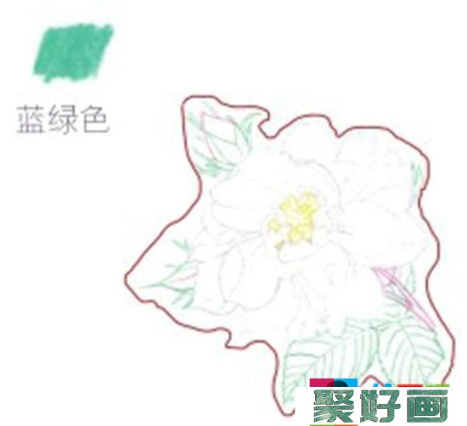 彩铅月季的绘画步骤是什么？月季花的彩铅画法