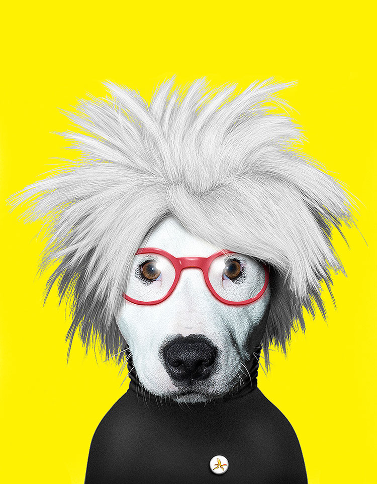宠物明星脸高清素材下载: 安迪沃霍尔狗装饰画