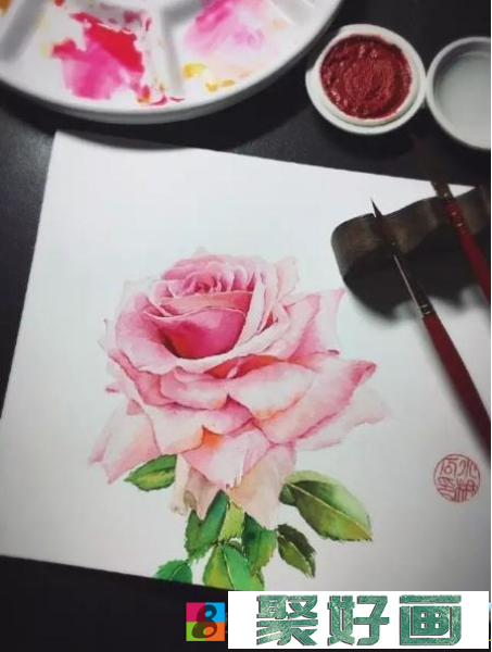水彩画粉玫瑰