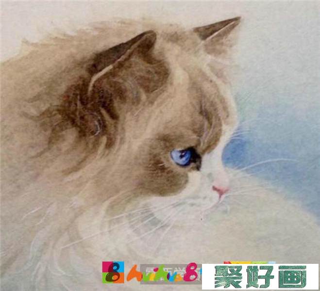 布偶猫水彩画