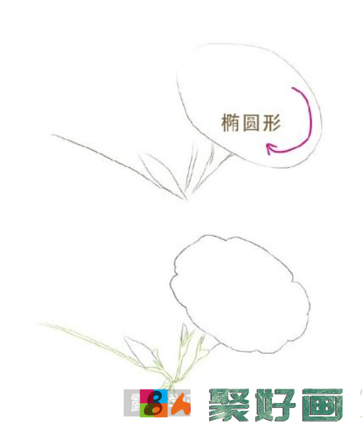 花卉彩铅