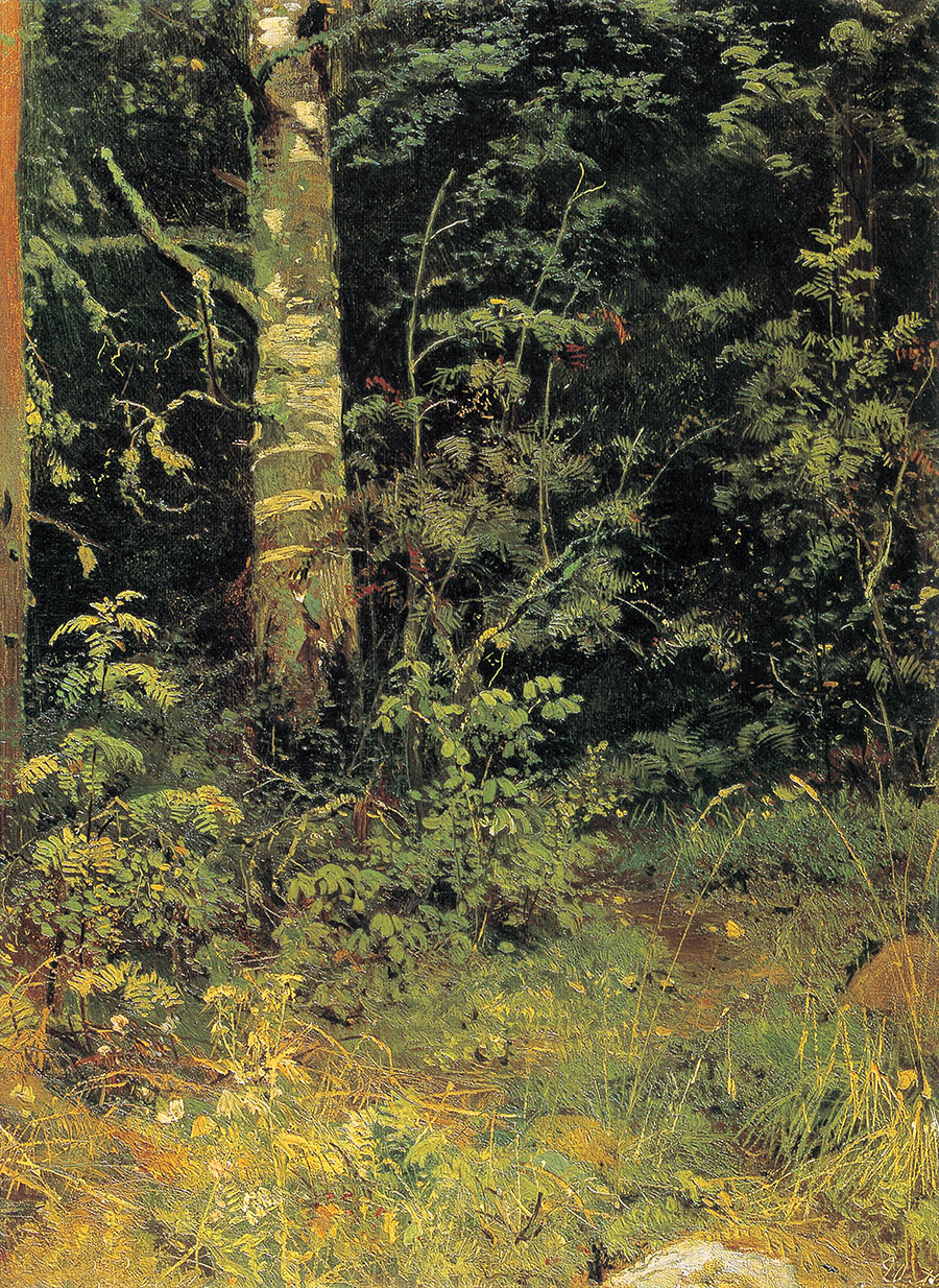 俄罗斯画家 伊凡希施金高清风景油画作品  丛林深处