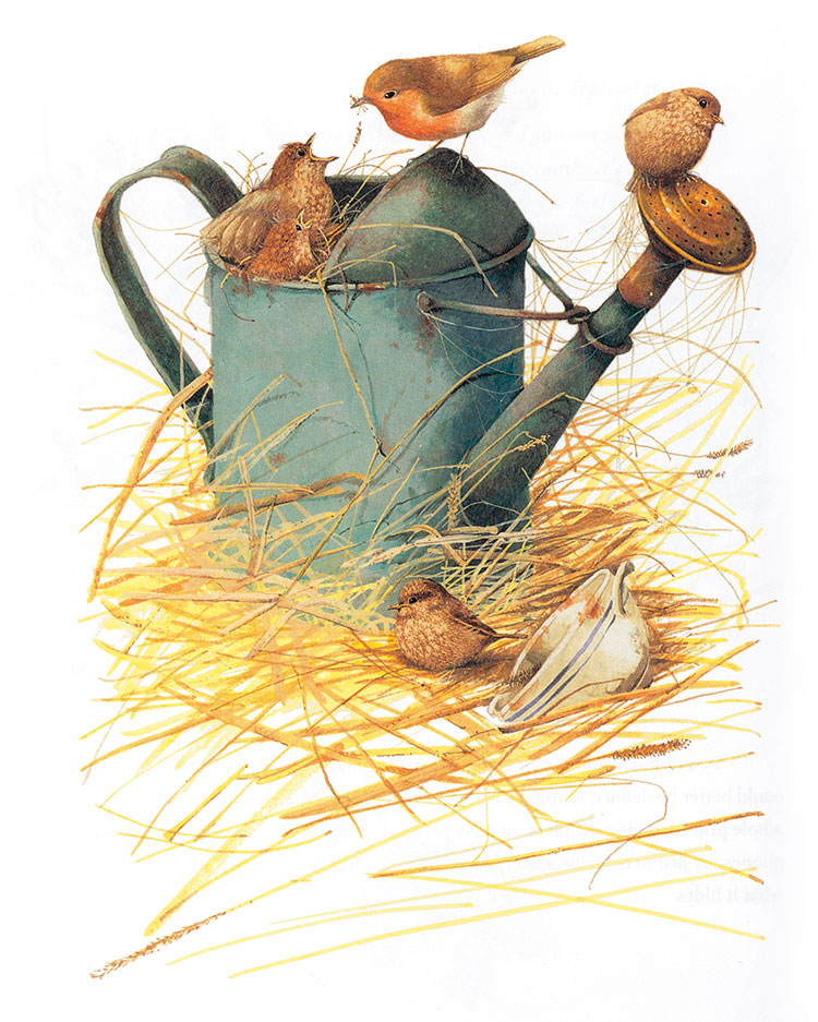 高清四联动物水彩画 动物装饰画素材下载: 小鸟和水桶