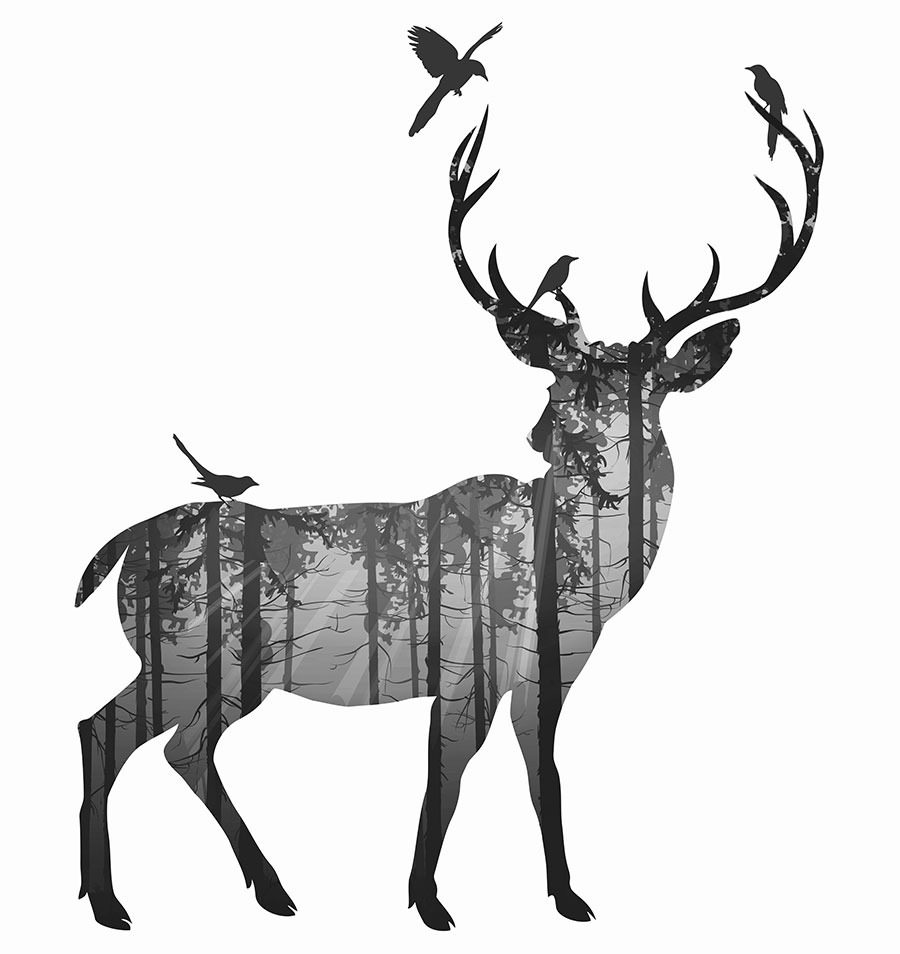 现代高清麋鹿装饰画,北欧风格麋鹿画大图下载,麋鹿一家,麋鹿与鸟