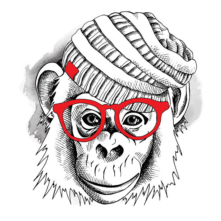 高清黑白线描装饰画动物素材: 猴子线描装饰画