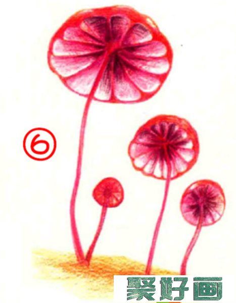 彩铅画蘑菇教程