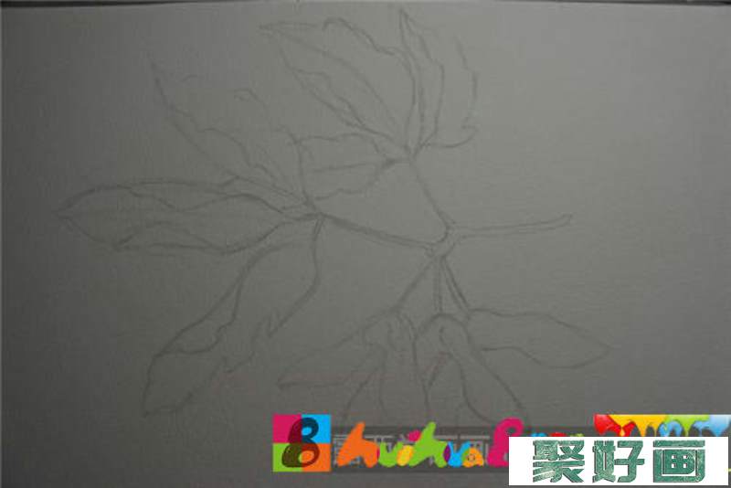 槭树叶水彩画