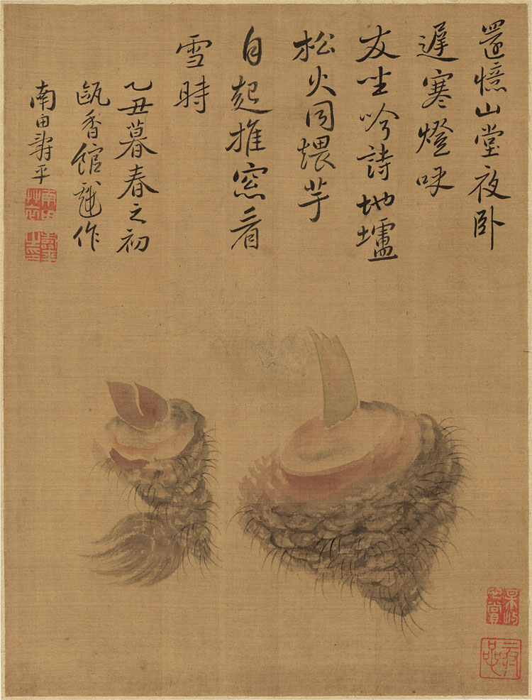  清 恽寿平 花果蔬菜-6-1 (芋头国画) 绢本 20x26.3.j