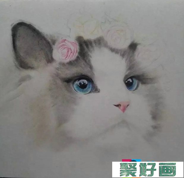 彩铅画萌猫步骤：教你画一只仙女猫