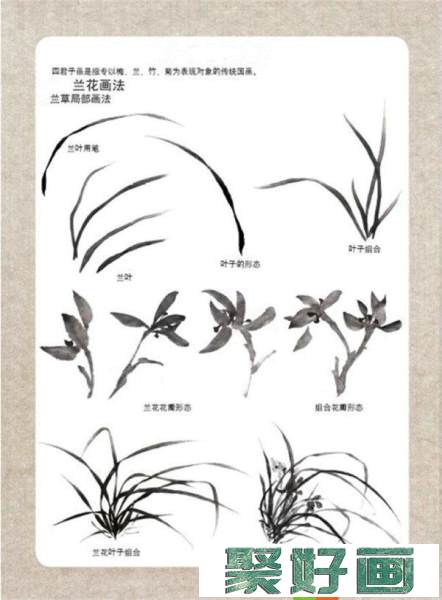 中国画兰花画法