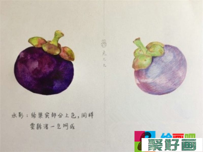 彩铅画教程：水果山竹彩的彩铅画画法