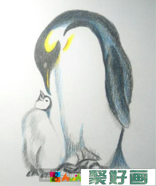 彩铅画企鹅
