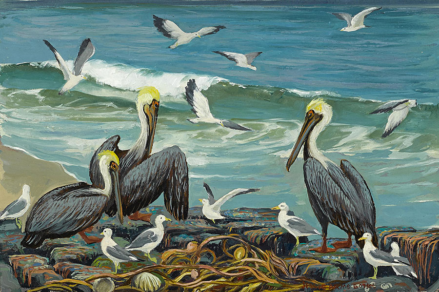 海边的怪鸟和海鸥油画欣赏