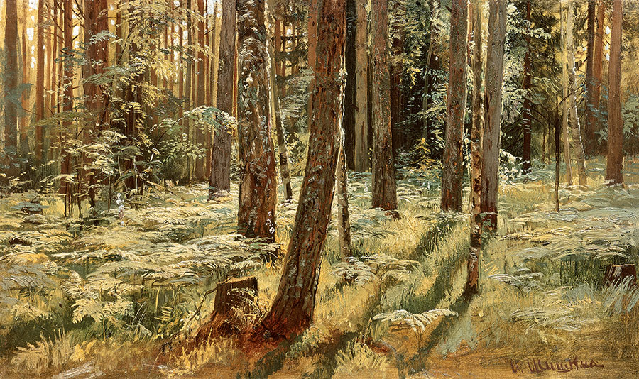 希施金高清风景油画作品 树林间的野草  大图下载