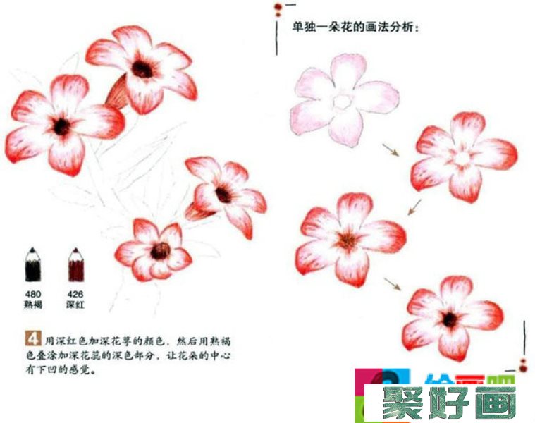 沙漠玫瑰彩铅画怎么画？彩铅画花卉绘画教程