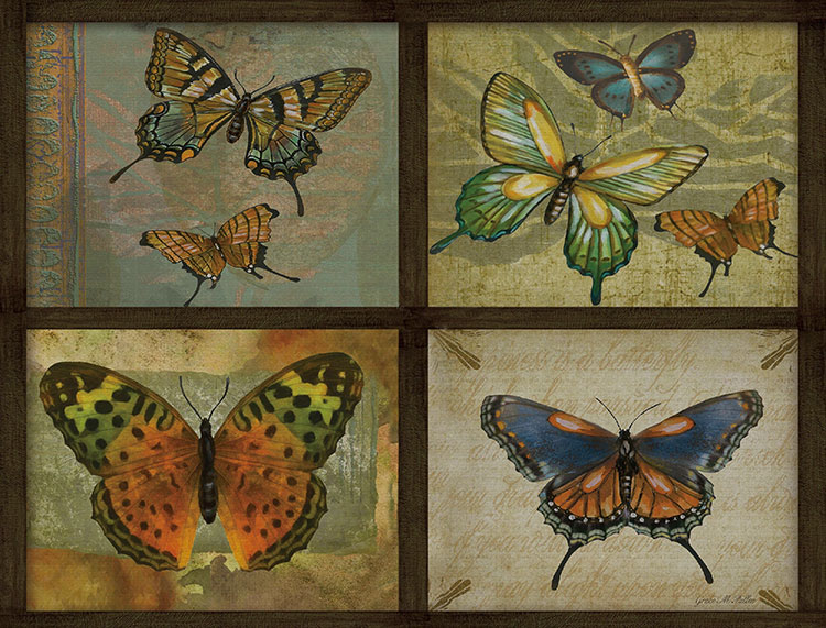 欧式三联四格装饰画素材: 各种蝴蝶  C